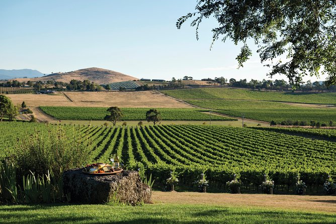 Ultimate Yarra Valley Chandon, Soumah & De Bortoli Cheese & Wine - What the $204.41 price includes