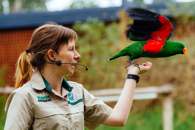 VIP Sanctuary Tour at Healesville Sanctuary - excl. entry - Booking details worth knowing before you pay