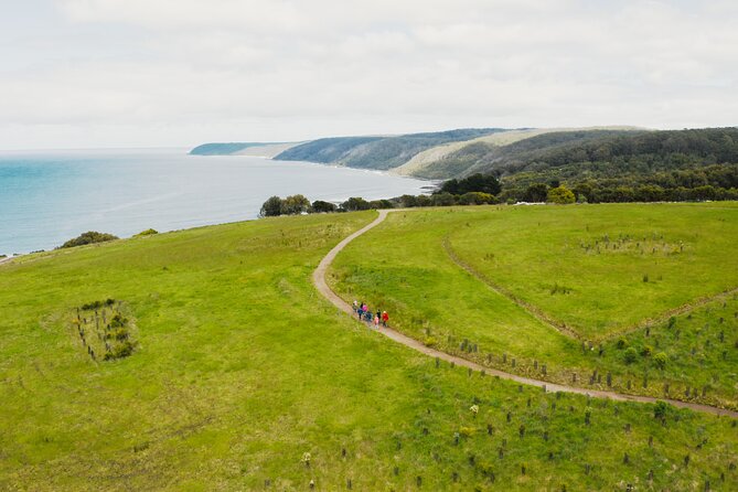 Walk with Wildlife: Guided Tour in Great Ocean Road - Inside the Conservation Ecology Centre Research Hub