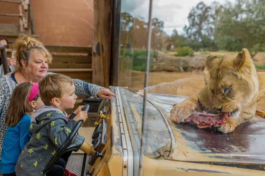 Werribee Open Range Zoo: Entry Ticket - Key points at a glance