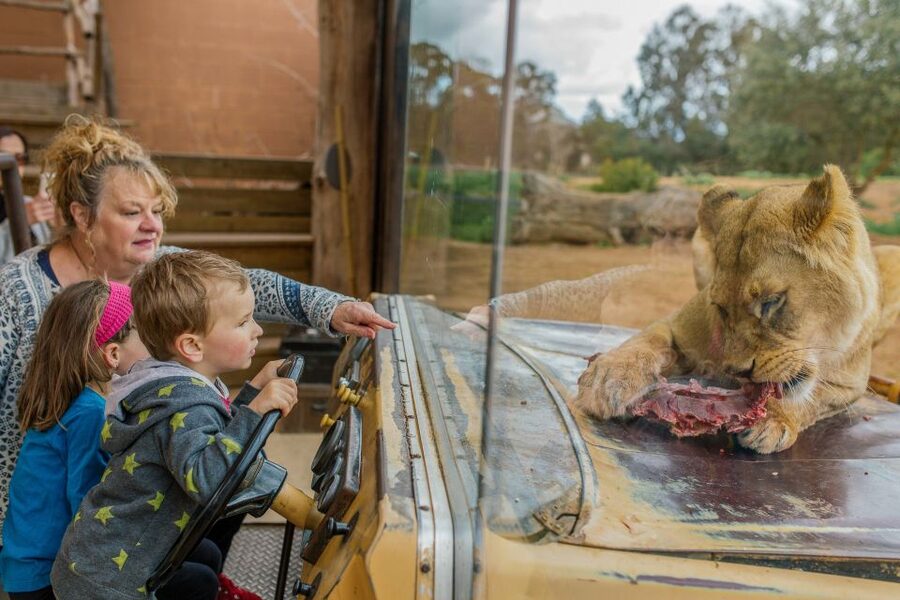 Werribee Open Range Zoo: Entry Ticket - Who will enjoy Werribee Open Range Zoo
