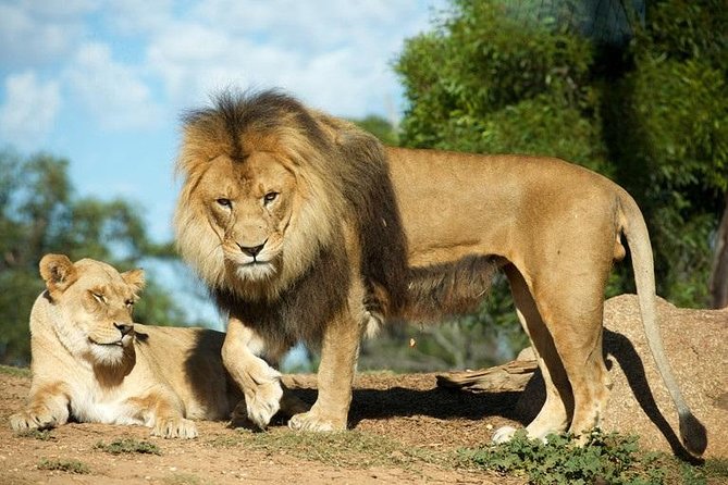 Werribee Open Range Zoo General Admission Ticket - Keeper talks add meaning to the visit