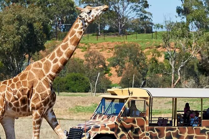 Werribee Zoo & Werribee Mansion Tour - Key points at a glance