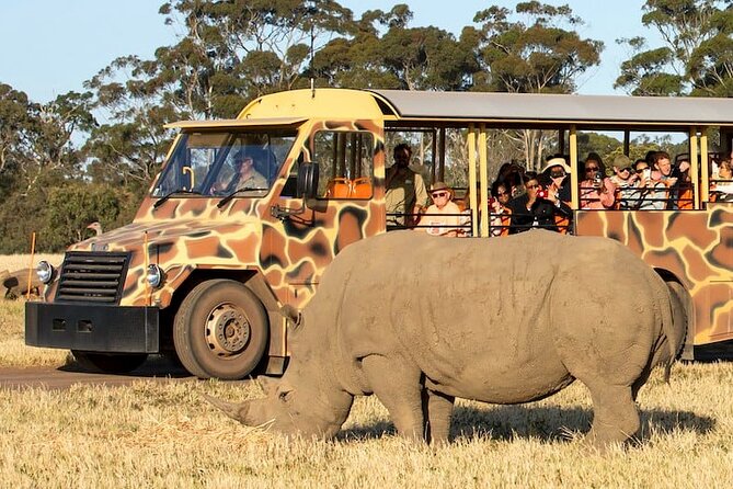 Werribee Zoo & Werribee Mansion Tour - Food, water, and what to bring