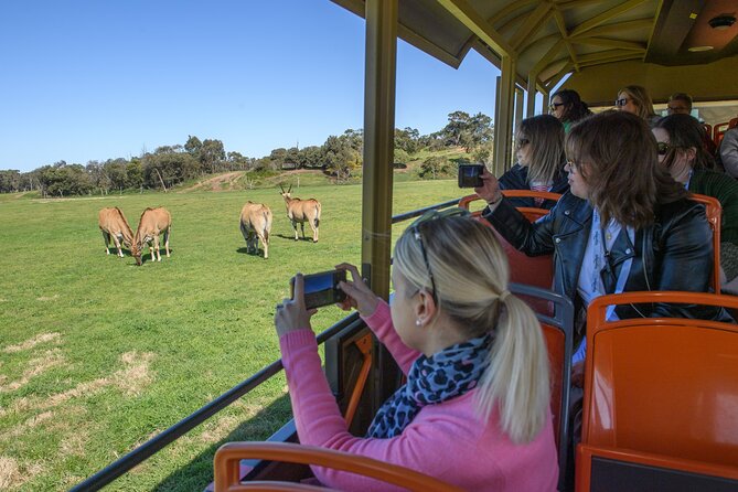 Werribee Zoo & Werribee Mansion Tour - Who should book this day