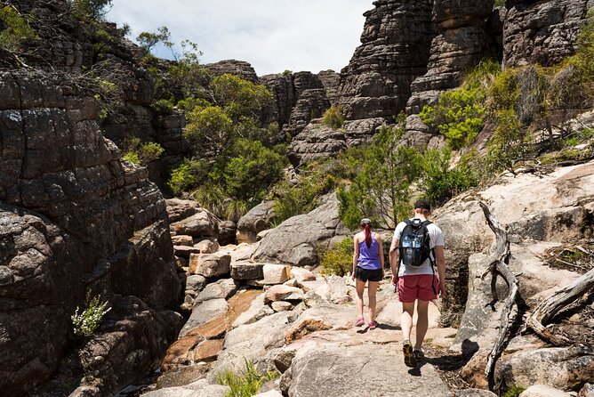 Whisky Bars & Gin Joints: Melbourne Walking Tour - What the 4.7 rating tells you