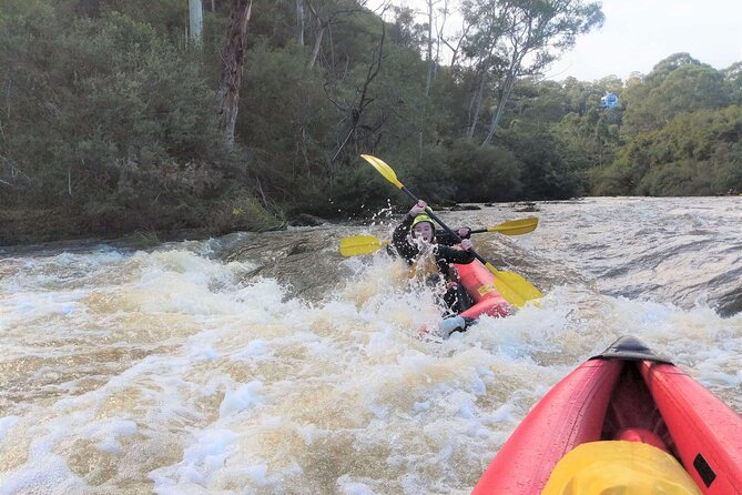 Whitewater Sports rafting on the Yarra river - Native bush, gorges, and a break from Melbourne