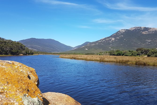 Wilson's Promontory & Phillip Island - 'Prom & Penguins' Tour - The Nobbies boardwalk and coastal views