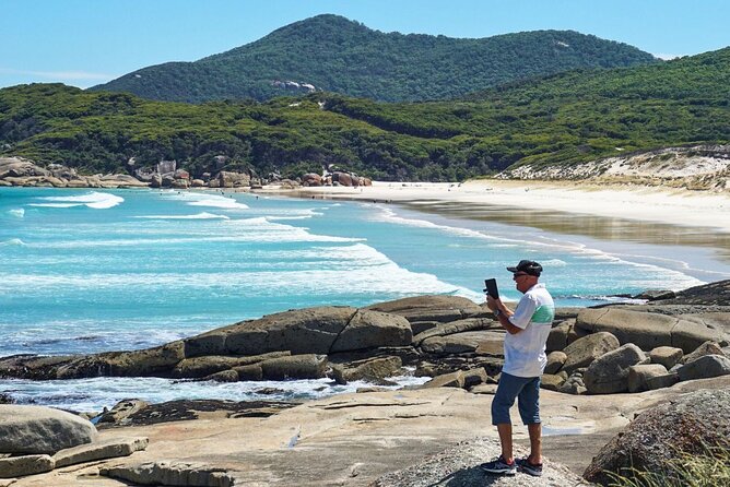 Wilson's Promontory Small Group Eco Tour from Melbourne - Wildlife at the former airfield