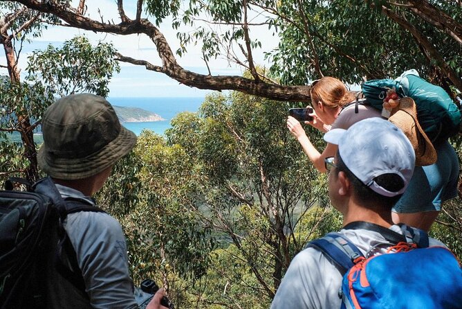 Wilson's Promontory Small Group Eco Tour from Melbourne - What the small group and vehicle mean