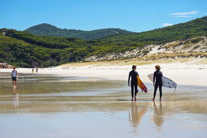 Wilson's Promontory Small Group Eco Tour from Melbourne - Squeaky Beach and the sound beneath your feet