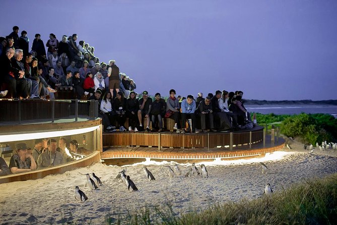Wilsons Prom Whale Cruise - Dolphins, seals, penguins, and seabirds add value