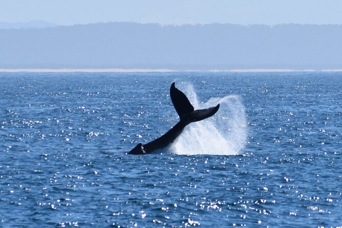Wilsons Prom Whale Cruise - Indoor and outdoor decks make six hours easier
