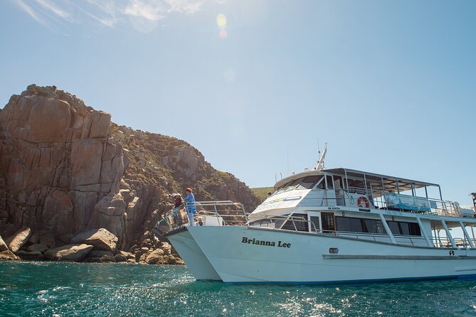 Wilsons Prom Whale Cruise - Starting at 10:30 am in Port Welshpool