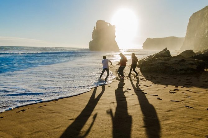 Wilsons Promontory Day Trip from Melbourne - How active is the full day?