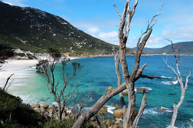 Wilsons Promontory Hiking Day Tour - 8 Person Max Small Group - Squeaky Beach and the simple pleasure of strange sand