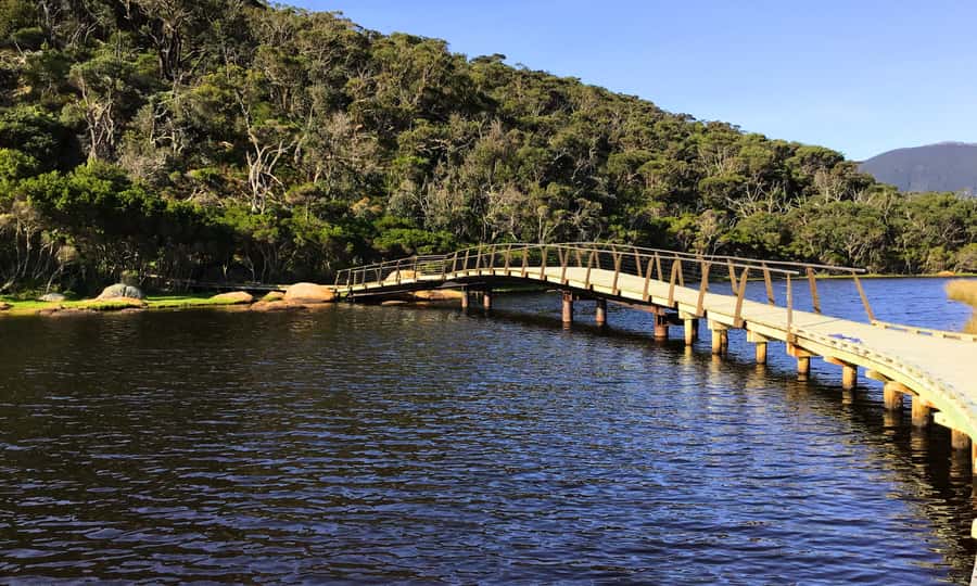 Wilsons Promontory National Park Full-Day Eco Tour - Mt Bishop and the 3.7-kilometre climb