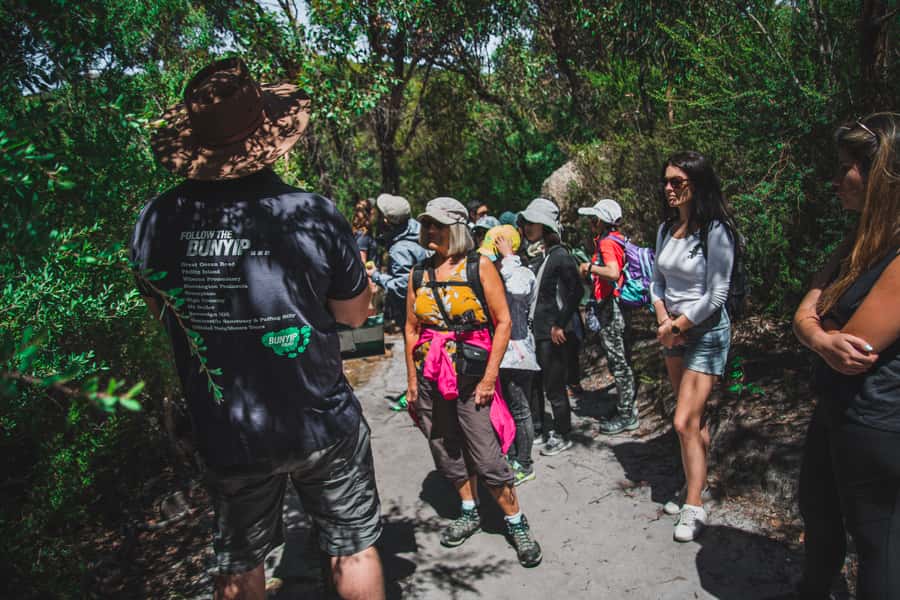 Wilsons Promontory National Park Full-Day Eco Tour - Lilly Pilly Gully and the wildlife search