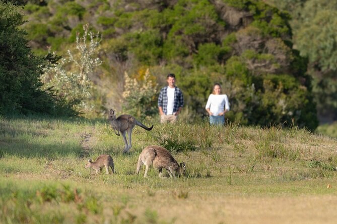 Wilsons Promontory Wilderness Day Tour - Norman Beach and the Tidal River Area