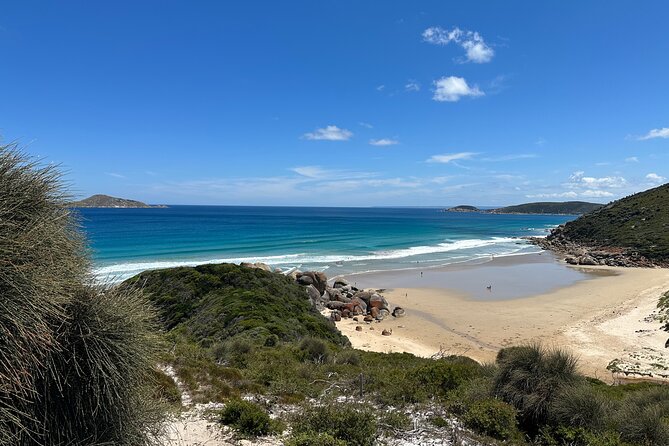 Wilsons Promontory Wilderness Day Tour - Lunch at Tidal River