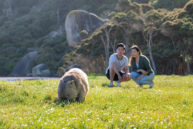 Wilsons Promontory Wilderness Day Tour - The Return Through Leongatha
