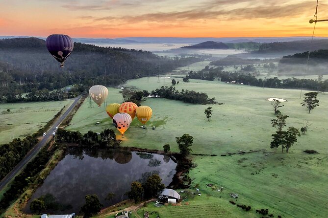 Yarra Valley Balloon Flight + Breakfast & Melbourne Pickup - Who will enjoy this flight most