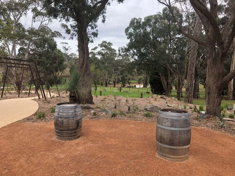 Yarra Valley: Bus Wine Tour with Lunch and a Glass of Wine - Why this eight-hour Yarra Valley tour works