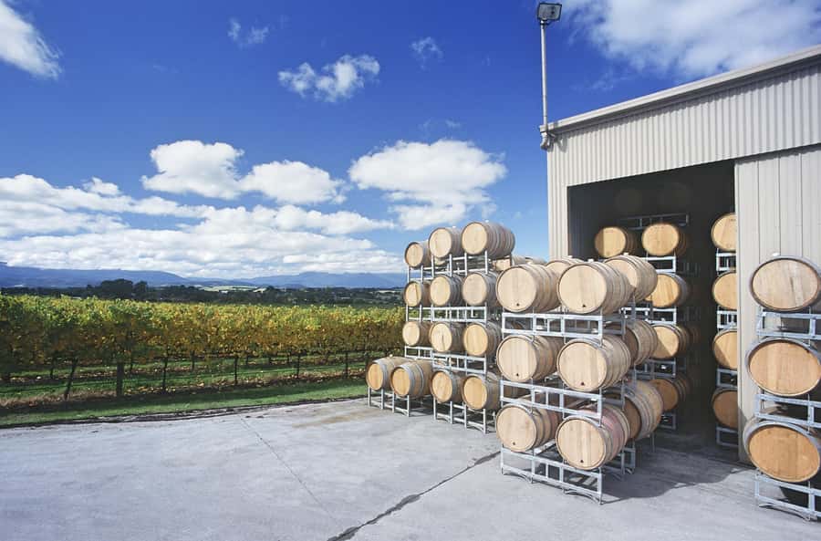 Yarra Valley: Bus Wine Tour with Lunch and a Glass of Wine - Leaving Melbourne by air-conditioned bus
