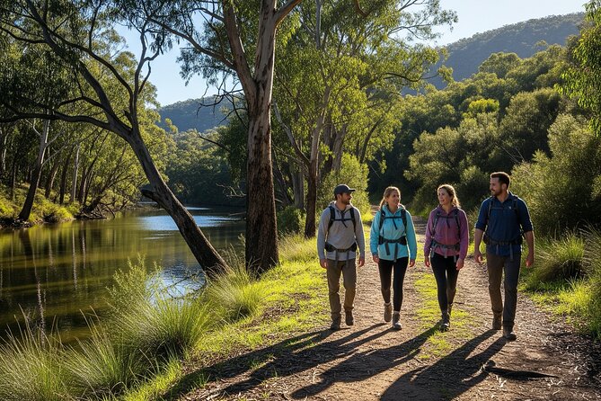 Yarra Valley by night! Private wine, whisky and dinner tour - Transport makes the evening easier