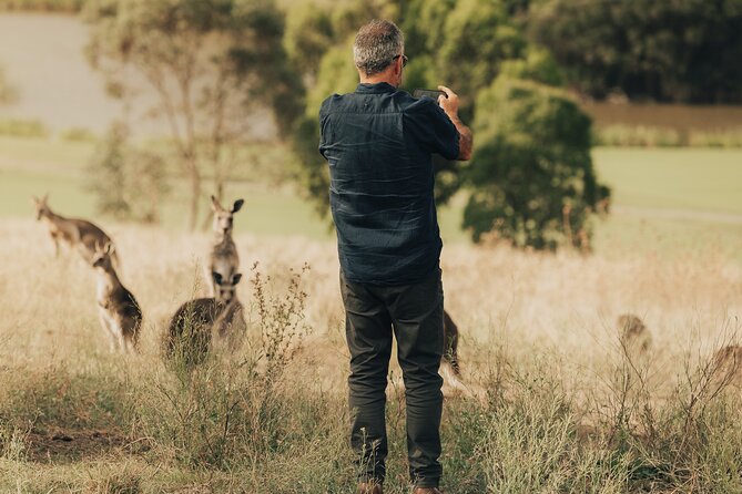 Yarra Valley by night! Private wine, whisky and dinner tour - What the price includes, and when it feels fair