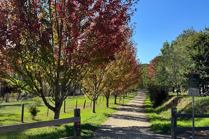 Yarra Valley Foodie Tour, Devonshire Tea, Cheese and Chocolate - A local bakery and the final Bahn Mi