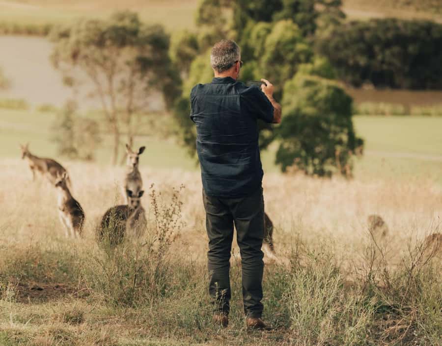 Yarra Valley Foodies Tour with Chandon and Kangaroo Safari! - The kangaroo stop at sunset