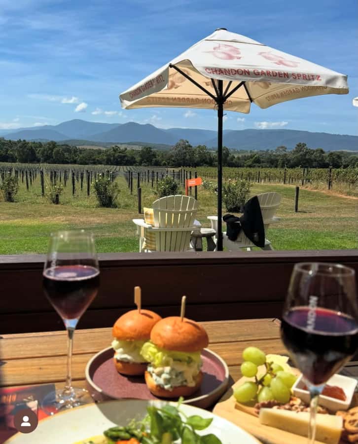 Yarra Valley Foodies Tour with Chandon and Kangaroo Safari! - The small van and the role of the guide
