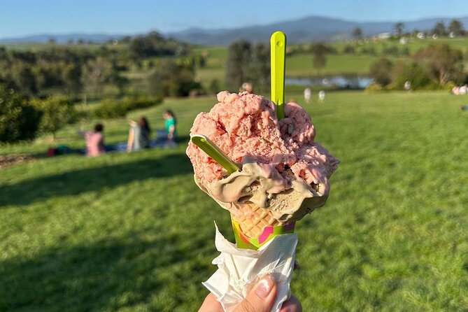 Yarra Valley Foodies Tour with Chandon & Kangaroo Safari! - Yering Station supplies the included wine tasting
