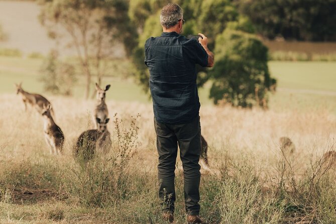 Yarra Valley Foodies Tour with Chandon & Kangaroo Safari! - Kangaroo Ground and the wild finale