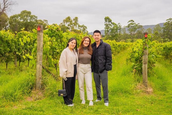 Yarra Valley Grazing Tour Wine, Cheese, Gin, Pizza from Melbourne - The guide can shape the whole day