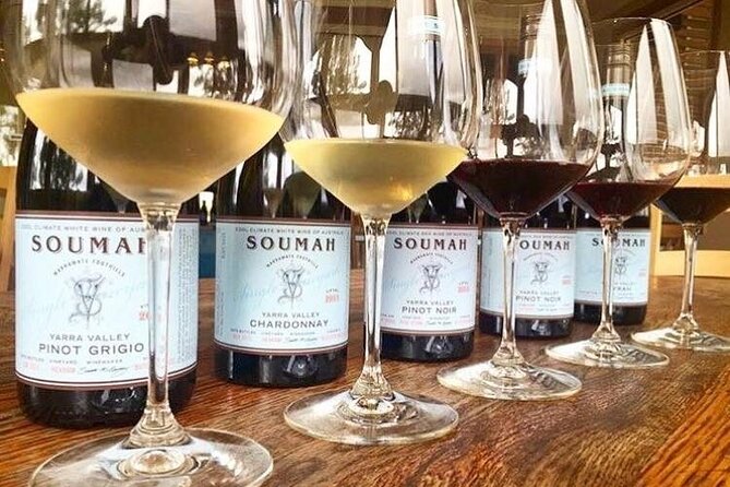 Yarra Valley Half-Day Winery Tour from Melbourne - The ride through Melbourne and toward the valley