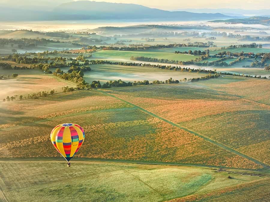 Yarra Valley: Hot Air Balloon Flight & Buffet Breakfast - What one hour in the basket feels like