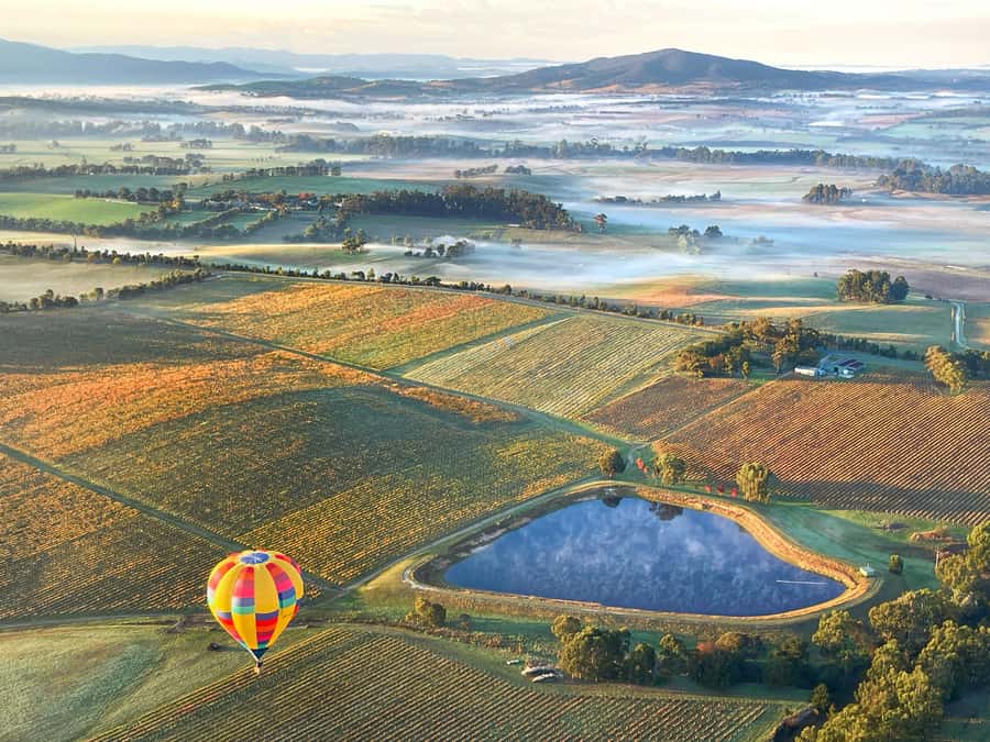 Yarra Valley: Hot Air Balloon with Breakfast & CBD Transfers - Landing, pack-up and the surprisingly small balloon