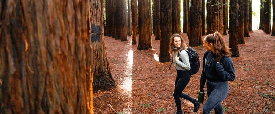 Yarra Valley | Redwoods, Wildlife, Wine, Chocolate - Key details before you book