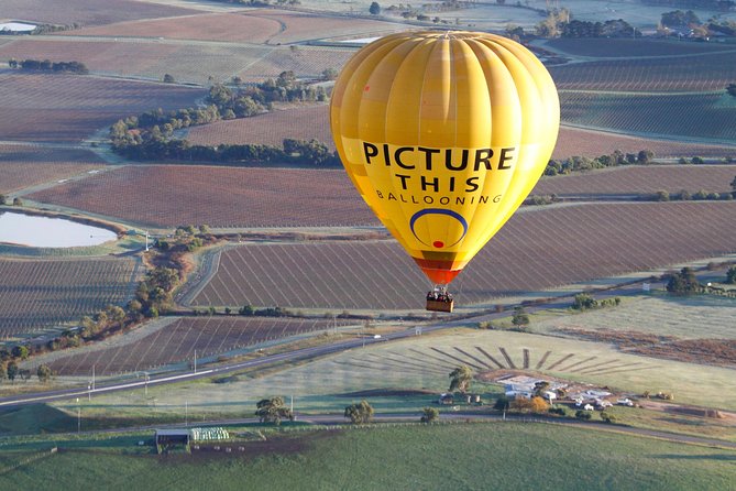 Yarra Valley sunrise balloon flight only - Sunrise above Yarra Valley vineyards