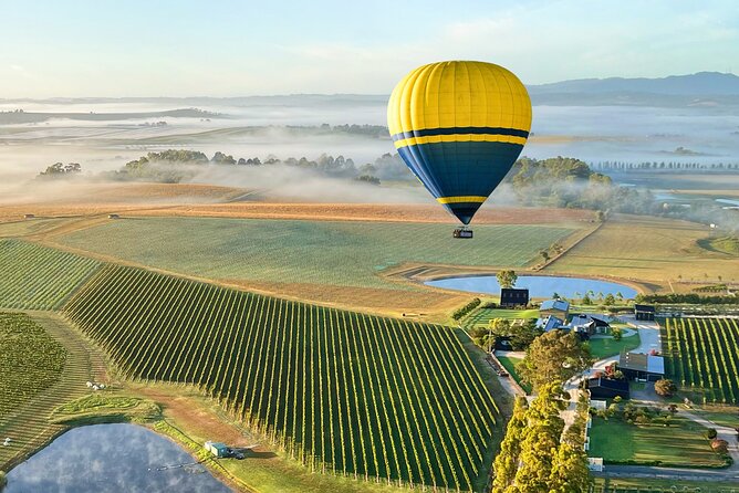 Yarra Valley Sunrise Balloon Flight with GoPro Photos - One hour above vineyards, farms, and morning fog