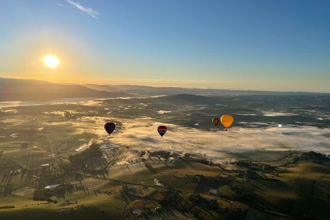 Yarra Valley Sunrise Balloon Flight with GoPro Photos - Landing, pack-down, and breakfast at Balgownie Estate