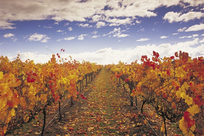 Yarra Valley Wildlife & Wine Day Tour with Healesville Sanctuary - What the AUD $236.69 price really covers