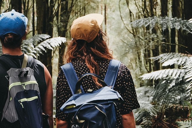 Yarra Valley Wildlife & Wine Day Tour with Healesville Sanctuary - Who should book this wildlife and wine combination?