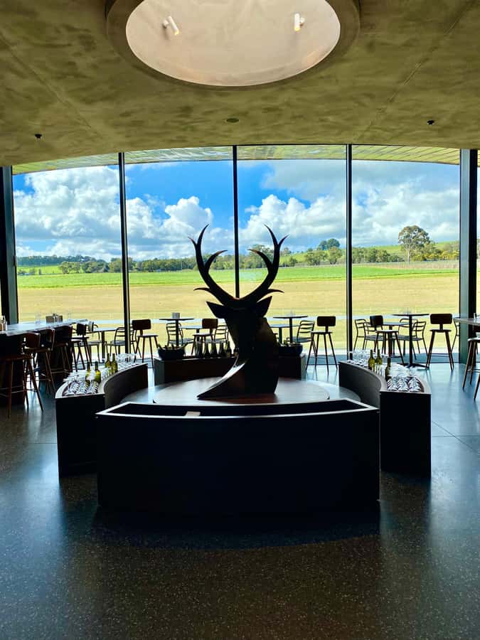 Yarra Valley: Wine and Chocolate tasting tour. - Transport, group size, and the pace of the day