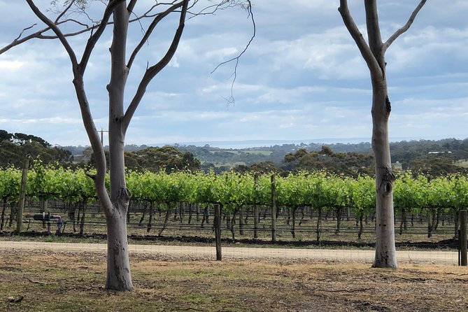 Yarra Valley Wine Tour inc lunch with a glass of wine, tastings and chocolate - Coombe Yarra Valley adds history and architecture