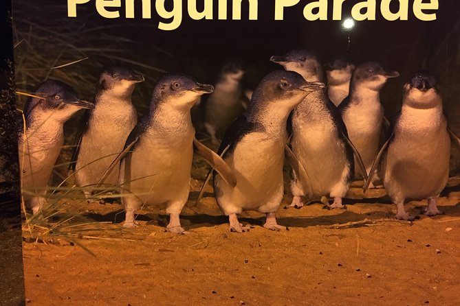 Yarra Valley Wine & Wildlife - Private Regional Tour - Is $767.45 per person good value?