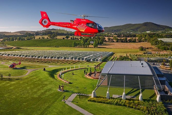 Yarra Valley Wine & Wildlife - Private Regional Tour - Hotel pickup makes the long day easier