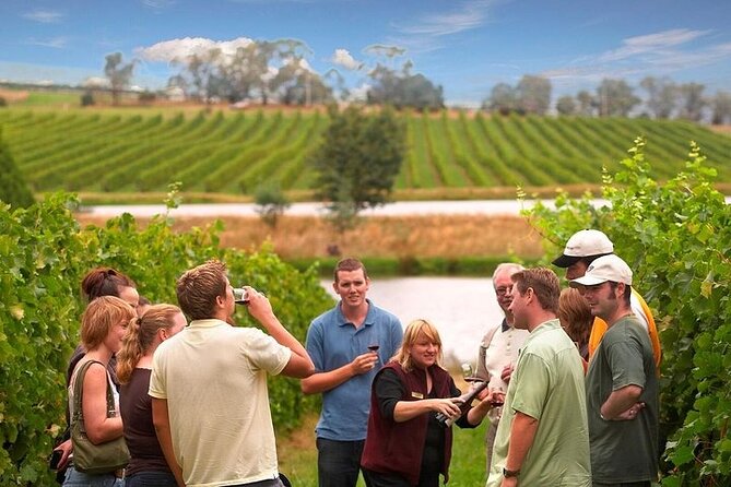 Yarra Valley Wine & Winery Tour from Melbourne - All Inclusive! - Four Yarra Valley stops in one well-packed day